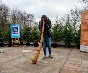 Galeria z 5 grudnia 2015