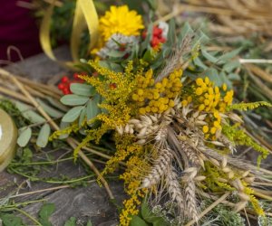 XX Podlaskie Święto Chleba - fotorelacja