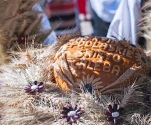 XVIII Podlaskie Święto Chleba - fotorelacja XVIII Podlaskie Święto Chleba - fotorelacja