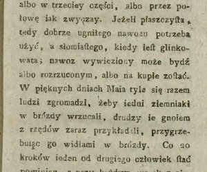 Niecodziennik muzealny - Uprawa ziemniaków w Polsce w XVIII i pierwszych dekadach XIX wieku. Niecodziennik muzealny - Uprawa ziemniaków w Polsce w XVIII i pierwszych dekadach XIX wieku.