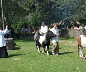IX Podlaskie Święto Chleba IX Podlaskie Święto Chleba