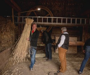 Jesień w polu i zagrodzie - fotorelacja Jesień w polu i zagrodzie - fotorelacja