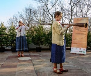 Galeria z 5 grudnia 2015