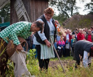 Impreza plenerowa - Jesień w Polu i Zagrodzie