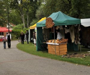 Wykopki w Skansenie Wykopki w Skansenie