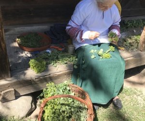 Wianki w Oktawę Bożego Ciała Wianki w Oktawę Bożego Ciała