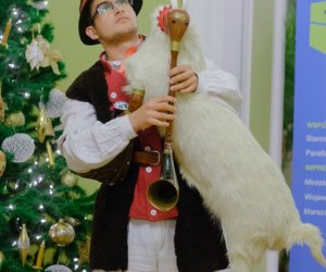 Galeria z 6 grudnia 2014