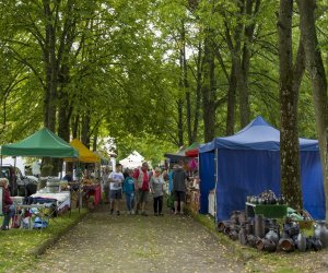 XVI Podlaskie Święto Chleba
