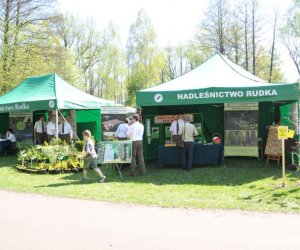 XIV Jarmark Św. Wojciecha i Festyn Leśny XIV Jarmark Św. Wojciecha i Festyn Leśny