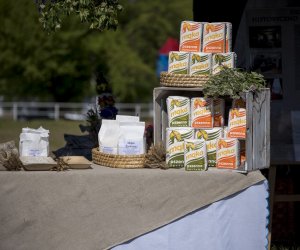 Piknik "Poznaj Zdrową Żywność" - fotorelacja Piknik "Poznaj Zdrową Żywność" - fotorelacja