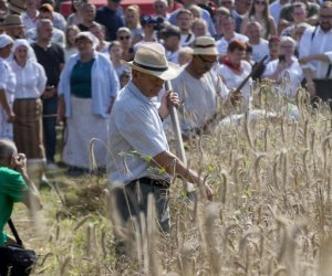 XX Podlaskie Święto Chleba - fotorelacja