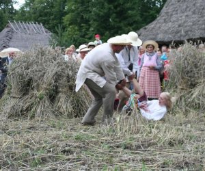 VI Podlaskie Święto Chleba VI Podlaskie Święto Chleba