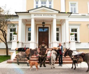 W drodze do Mongolii...