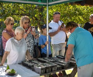 "Z kulturą ludową przez Podlasie" - fotorelacja