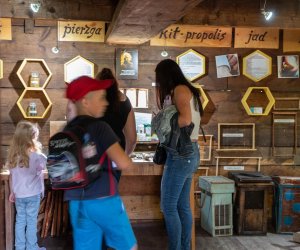 Noc Muzeów "Na ludowo" - 25 maja 2024 r. - fotorelacja Noc Muzeów "Na ludowo" - 25 maja 2024 r. - fotorelacja