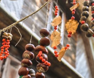 JESIEŃ W POLU I ZAGRODZIE JESIEŃ W POLU I ZAGRODZIE