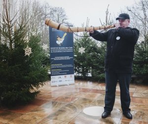 Ligawki 2017 - fotorelacja Ligawki 2017 - fotorelacja