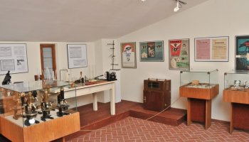 Odnowiona ekspozycja Muzeum Weterynarii