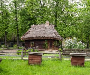 Ludowe Zielone Świątki - święto kościelne Zesłania Ducha Świętego, zamykającego cykl Wielkanocy 15 maja 2016 r.