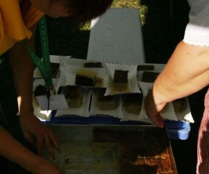 Wykopki w skansenie 2009