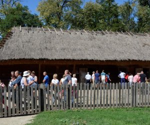 XVIII Podlaskie Święto Chleba - fotorelacja XVIII Podlaskie Święto Chleba - fotorelacja