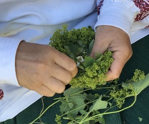 Wianki w Oktawę Bożego Ciała Wianki w Oktawę Bożego Ciała
