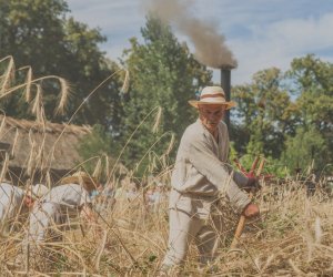 XV Podlaskie Święta Chleba w Muzeum Rolnictwa im. ks. Krzysztofa Kluka w Ciechanowcu XV Podlaskie Święta Chleba w Muzeum Rolnictwa im. ks. Krzysztofa Kluka w Ciechanowcu