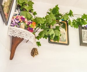 Zielone Świątki Zielone Świątki