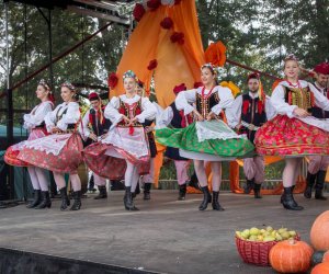 Jesień w Polu i Zagrodzie 2018 - fotorelacja