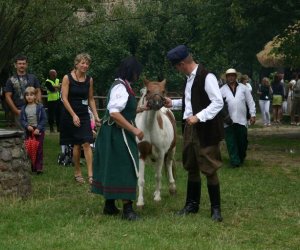 VIII PODLASKIE ŚWIĘTO CHLEBA