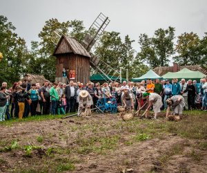 Jesień w polu i zagrodzie