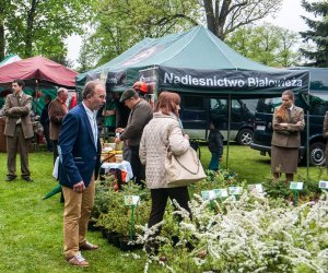 Jarmark św. Wojciecha i Święto Lasu Jarmark św. Wojciecha i Święto Lasu