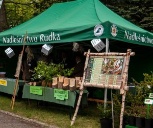 Jarmark św. Wojciecha i Święto Lasu Jarmark św. Wojciecha i Święto Lasu