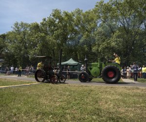 Piknik "Poznaj Zdrową Żywność" - fotorelacja Piknik "Poznaj Zdrową Żywność" - fotorelacja