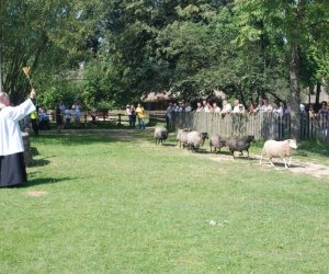 IX Podlaskie Święto Chleba IX Podlaskie Święto Chleba