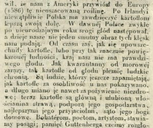 Niecodziennik muzealny - Uprawa ziemniaków w Polsce w XVIII i pierwszych dekadach XIX wieku. Niecodziennik muzealny - Uprawa ziemniaków w Polsce w XVIII i pierwszych dekadach XIX wieku.