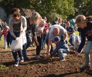 Jesień w polu i zagrodzie - fotorelacja Jesień w polu i zagrodzie - fotorelacja