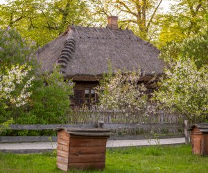 Majówka w Muzeum Majówka w Muzeum