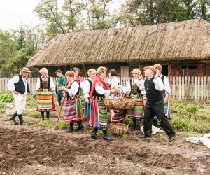 Wykopki w Skansenie 2013