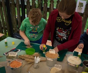 Impreza plenerowa - Jesień w Polu i Zagrodzie