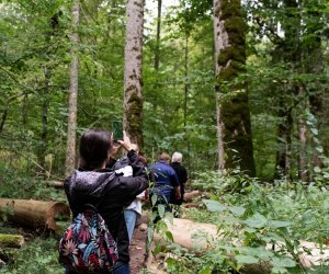 Konferencja Naukowo-Szkoleniowa III PARAZYTOZY ZWIERZĄT - fotorelacja Konferencja Naukowo-Szkoleniowa III PARAZYTOZY ZWIERZĄT - fotorelacja