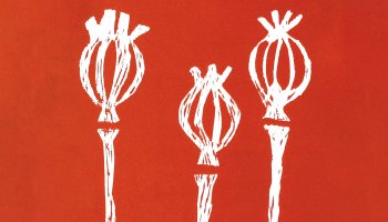 Otwarcie wystawy czasowej "Bliżej natury - bliżej drugiego człowieka"