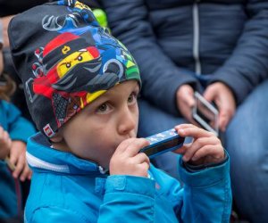 Jesień w Polu i Zagrodzie 2018 - fotorelacja Jesień w Polu i Zagrodzie 2018 - fotorelacja