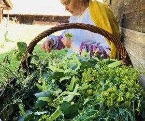 Wianki w Oktawę Bożego Ciała Wianki w Oktawę Bożego Ciała