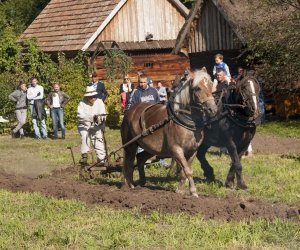 JESIEŃ W POLU I ZAGRODZIE w ramach Europejskich Dni Dziedzictwa 18 września 2016 r. JESIEŃ W POLU I ZAGRODZIE w ramach Europejskich Dni Dziedzictwa 18 września 2016 r.