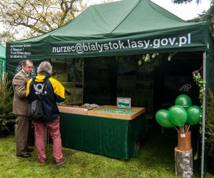 Jarmark św. Wojciecha i Święto Lasu Jarmark św. Wojciecha i Święto Lasu