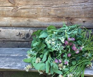 Wianki w Oktawę Bożego Ciała Wianki w Oktawę Bożego Ciała