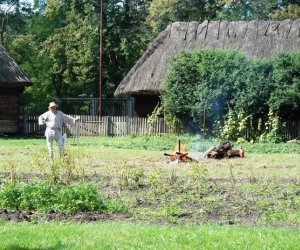 Wykopki w skansenie 2009