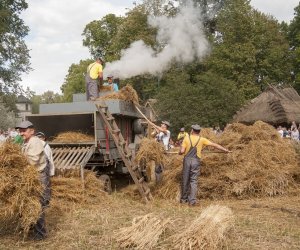 XVI Podlaskie Święto Chleba