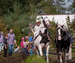 Impreza plenerowa - Jesień w Polu i Zagrodzie